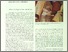 [thumbnail of Polleross_Auftraggeber_und_Funktionen_barocker_Kunst_in_Oesterreich_1999.pdf]