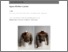 [thumbnail of Roeske_Agnes_Richters_jacket_2014.pdf]