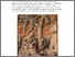 [thumbnail of Hauser_Mantegna_2008.pdf]
