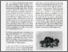 [thumbnail of Grimm_Authenticity_and_authorship_1995.pdf]