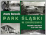 [thumbnail of Borowik_Park_Slaski_w_Chorzowie_2020.pdf]