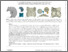 [thumbnail of 16  Thin‐Volume Visualization on Curved Domains.pdf]