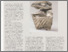 [thumbnail of Stupperich_SilberschaelchenSilberkännchen_2006.pdf]