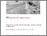 [thumbnail of Handbuch zum SIRI Tool]