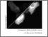 [thumbnail of Thesis_EMBL_Franziska_walterspiel_PDFA.pdf]