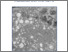 [thumbnail of Robin Veenstra - Doctoral Thesis.pdf]