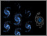 [thumbnail of Thesis_Stuber_complete.pdf]